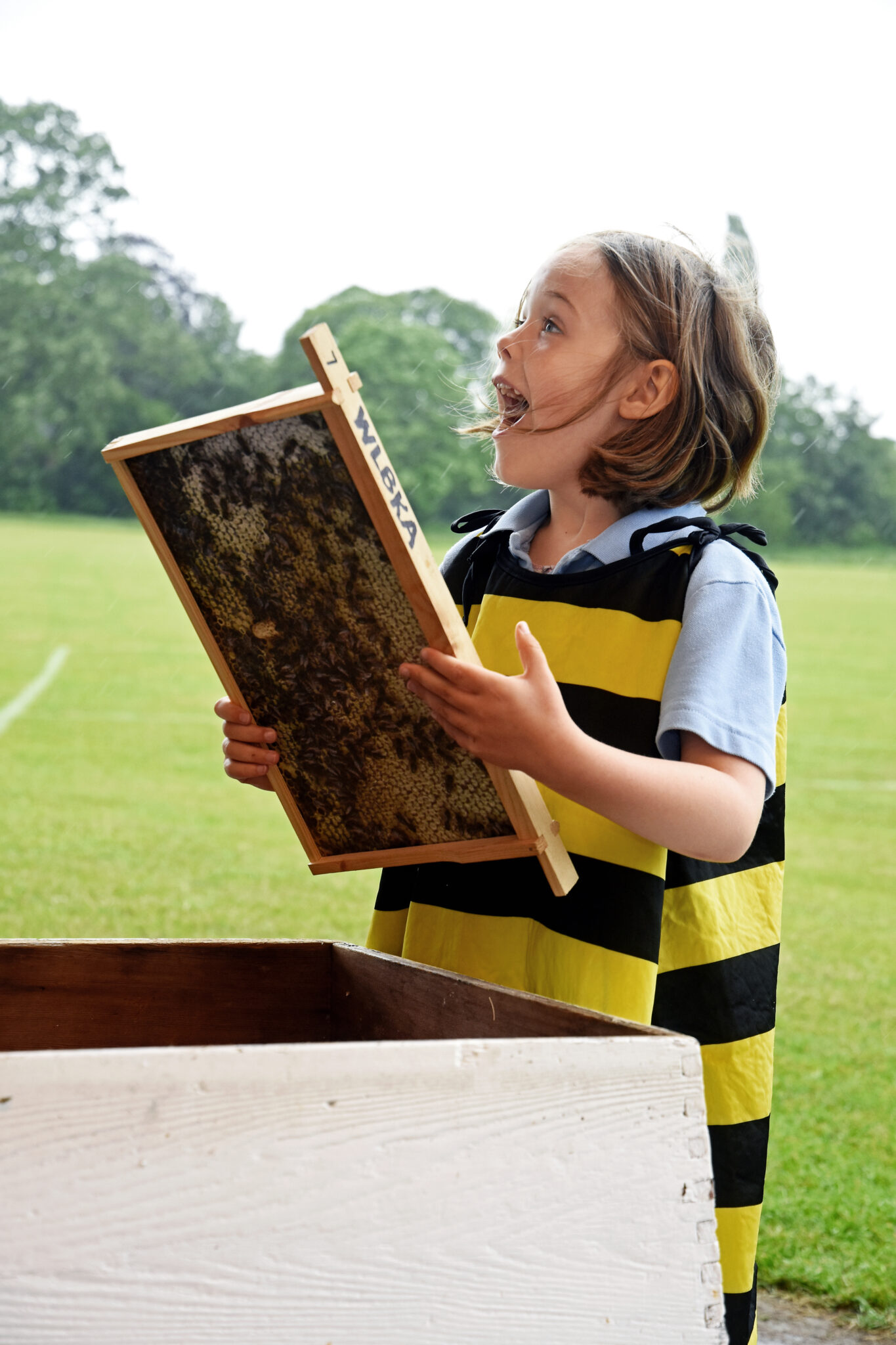 girl holding up a part of a bee hive